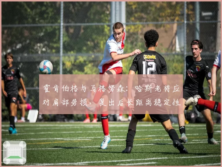 霍肯伯格与马格努森：哈斯老将应对肩部劳损，复出后长距离稳定性数据对比