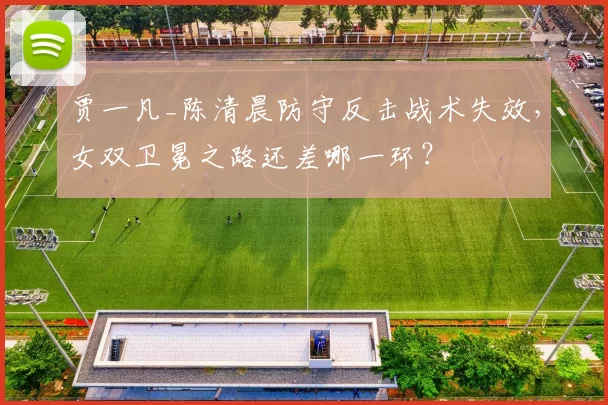 贾一凡_陈清晨防守反击战术失效，女双卫冕之路还差哪一环？