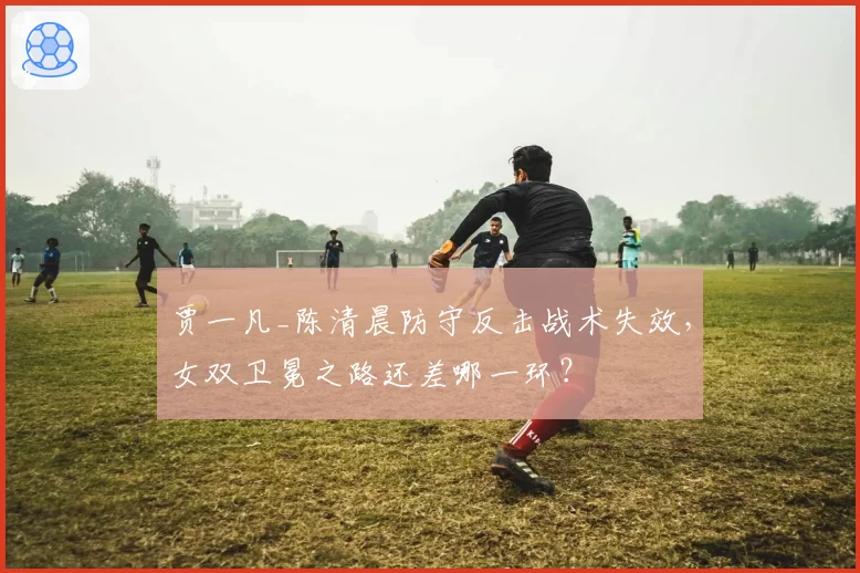 贾一凡_陈清晨防守反击战术失效，女双卫冕之路还差哪一环？